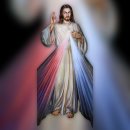 •Pentecost Sunday 이미지