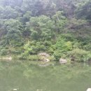 무등천 | 2018.5.22. 대전뿌리공원