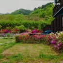 앤드퍼피 이미지