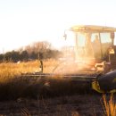 (주)대동사료 이미지