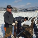 윤하농장 이미지