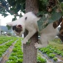 빛과소금유치원 이미지