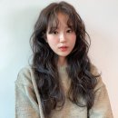블루라인미용실 - 경주시 | 블루라인미용실