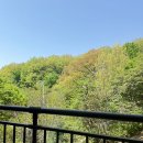 수진빌딩 | 2604
