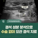 강남동물병원 | 서울 강남동물병원 강아지 요관결석 수술 없이 치료한 후기