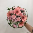 에버그린시티꽃예술전문학원