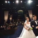 브라운파크