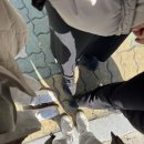 인천 청천동 디저트가 맛있는 _ 카페마루당