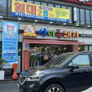 선미통돼지시지 이미지