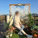 다산초당안내소 | 전남 가을 가볼만한 곳 강진만 춤추는 갈대축제 11월에 갈만한 곳 강진생태공원