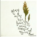 다슬 네이버블로그