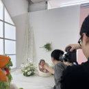 애니서포트 | 부산 아기촬영 스튜디오 추천｜애니스튜디오 부산점 솔직후기 |내돈내산