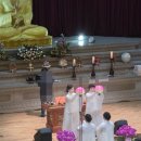이광우축사 네이버블로그