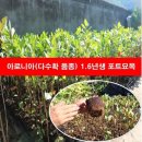 합천팜앤파머스협동조합 | ●합천팜앤파머스협동조합●네이버 스토어팜 오픈!!