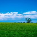 하늘 풍경 이미지