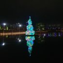 부산시민공원 빛축제 다녀왔어요 이미지