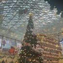 메구미카츠 | 푸르름이 사는 곳