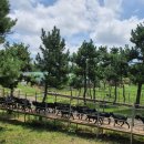 남원읍-95 이미지