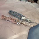 에덴주단 이미지