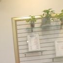 문스킨&바디 이미지