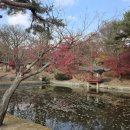 애련정 | 🌿 후원 20, 애련정(愛蓮亭)