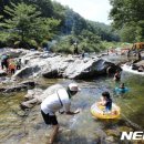 핏들캠핑장 이미지