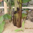 순이하우스 이미지