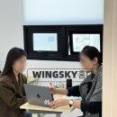 스카이윙 이미지