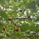 송이마트 이미지