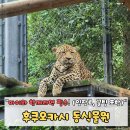 OK아시아매점 | 후쿠오카시 동식물원 방문 후기: 아이와 함께라면 필수! (입장료, 꿀팁 포함)