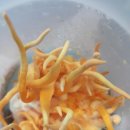 송화농장2 이미지