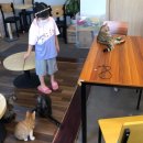 감자랑커피랑 이미지