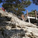 호화로이 이미지