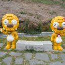 부산솔로몬로파크 이미지