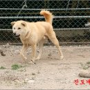 영원축산 이미지