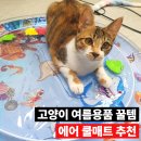 쿨 | 고양이 더위 먹었을 때 여름용품 꿀템, 고양이 쿨매트 후기