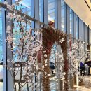 페어몬트 앰배서더 서울 마리포사 | 여의도 파인다이닝 마리포사 디너 코스 후기! (내돈내산)