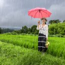 종오정ㆍ비오는 날의 여행 (경주)_230716 이미지