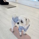 훌랄라참숯바베큐 이미지