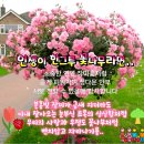일평생 꽃길만 걸어가세요 이미지