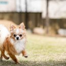 W&W(와앤와) 이미지