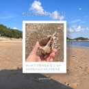 두포펜션 | 부안 가족여행 아이랑 변산여행 두포해변 해수욕과 갯벌체험까지