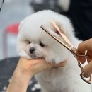 편한미용 이미지