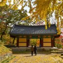 공주 신원사