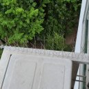 엄팩토리 이미지