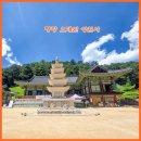 상원사 동종 | 시간이 머무는 곳, 평창 오대산 상원사 천년의 고요 속 힐링 선재길