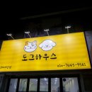 김해 강아지분양 고양이분양 도그하우스 대성점 이미지