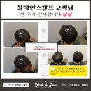 블랙인스칼프 이미지