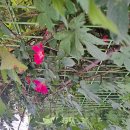 시나브로경주 이미지