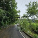 천고을1농장 이미지